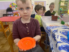 Огород на окне Огород на окне.