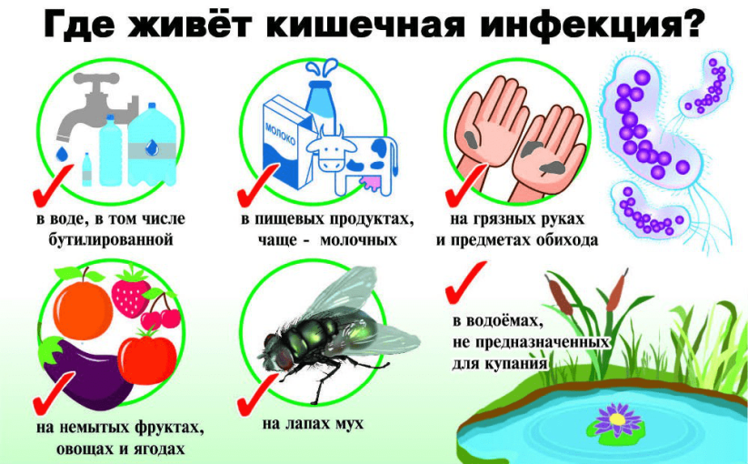 Что делать, если в образовательной организации дети заболевают острыми кишечными инфекциями (ОКИ) Что делать, если в образовательной организации дети заболевают острыми кишечными инфекциями (ОКИ).